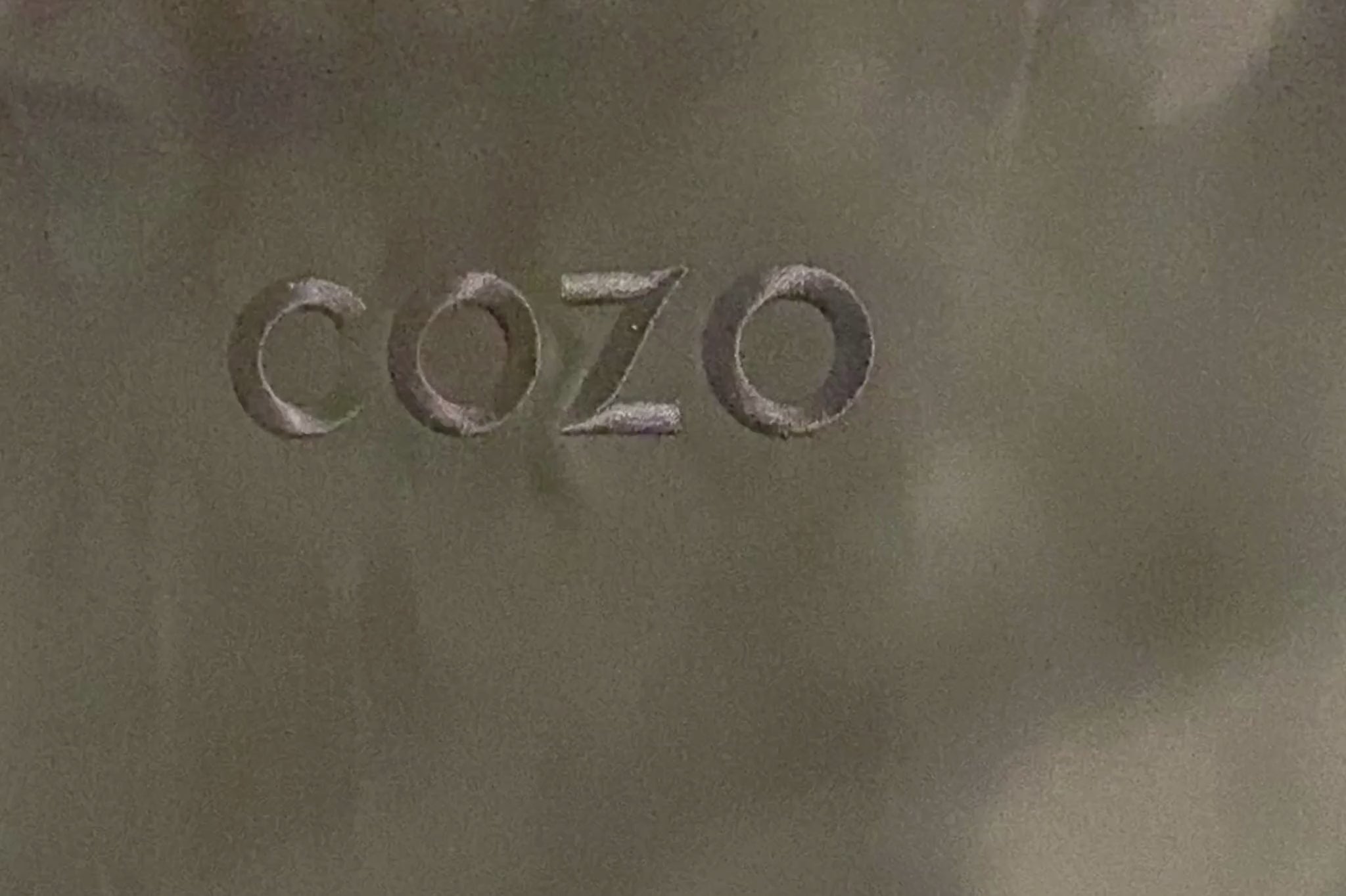 COZO Eucalyptus Silk Pillowcase
